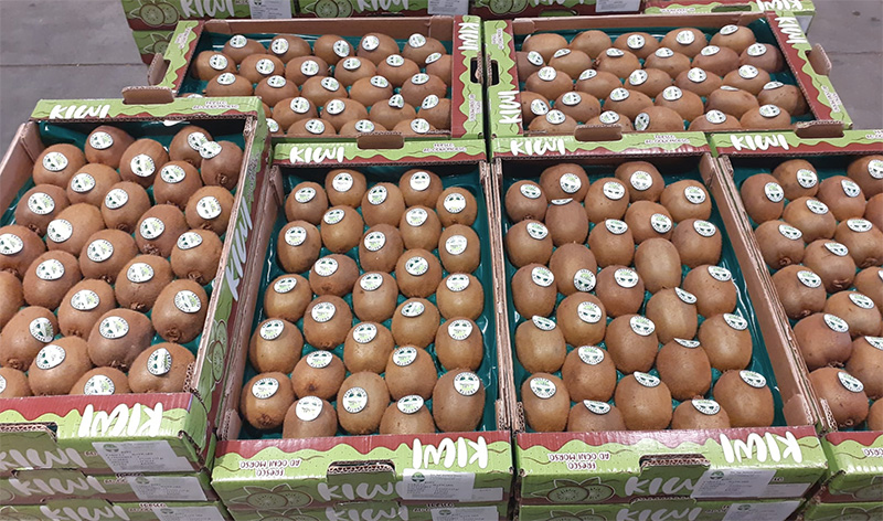 Kiwi - Italia - 2,80/3,50 euro al chilogrammo